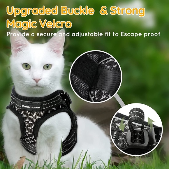 CatRomance Black and Silver Kitten Harness and Leash - Picture 14 of 14